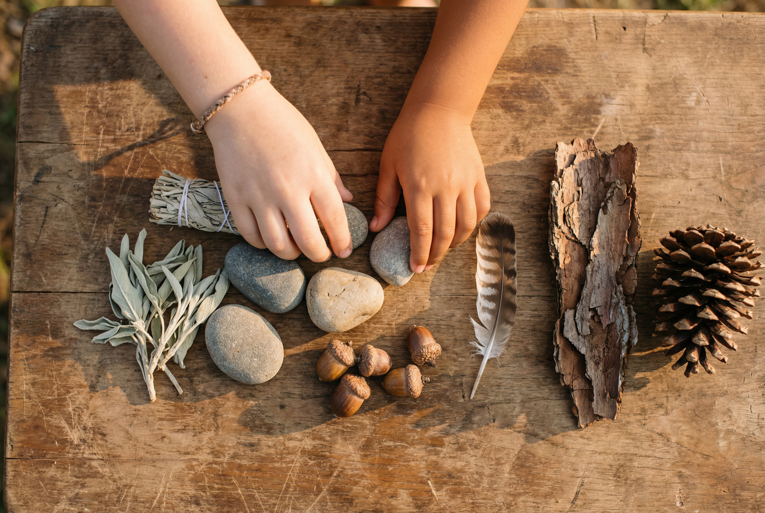 Child's hands exploring natural materials at Sandersprouts